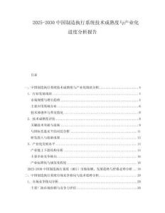 2025-2030中國制造執(zhí)行系統(tǒng)技術(shù)成熟度與產(chǎn)業(yè)化進(jìn)度分析報告