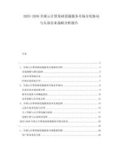 2025-2030全球云計算基礎設施服務市場分化格局與頭部企業(yè)戰(zhàn)略分析報告