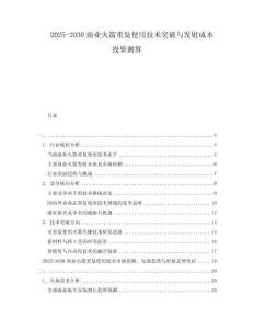 2025-2030商業(yè)火箭重復(fù)使用技術(shù)突破與發(fā)射成本投資測算
