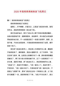 2025年我和弟弟妹妹放飛機周記