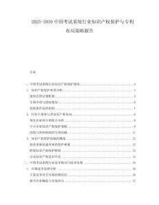 2025-2030中國考試系統(tǒng)行業(yè)知識產(chǎn)權(quán)保護與專利布局策略報告