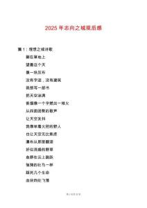 2025年志向之城觀后感