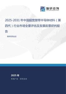 2025-2031年中國超寬禁帶半導(dǎo)體材料（第四代）行業(yè)市場全景評估及發(fā)展前景研判報告