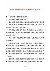 2025年征途中那一道漂亮的風景作文