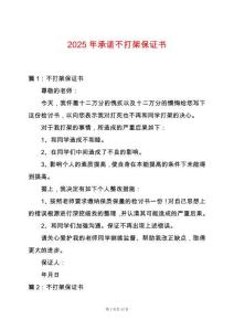 2025年承諾不打架保證書