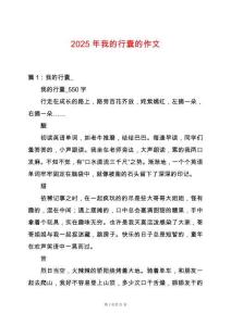 2025年我的行囊的作文