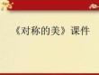 【人教版】小學美術四年級下冊《對稱的美》課件2