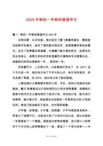 2025年新的一年新的展望作文