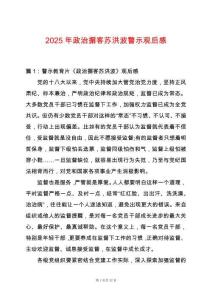 2025年政治掮客蘇洪波警示觀后感