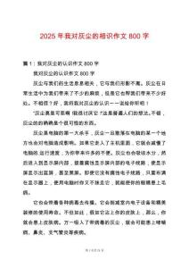 2025年我對(duì)灰塵的相識(shí)作文800字