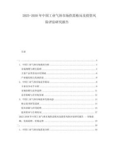 2025-2030年中國工業氣體市場供需格局及投資風險評估研究報告