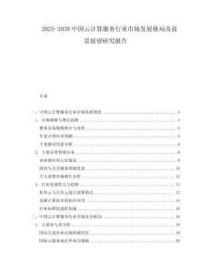 2025-2030中國云計算服務行業市場發展格局及前景展望研究報告