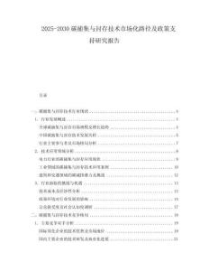 2025-2030碳捕集與封存技術(shù)市場(chǎng)化路徑及政策支持研究報(bào)告
