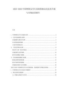 2025-2030中國網絡安全行業政策驅動及技術升級與市場前景報告