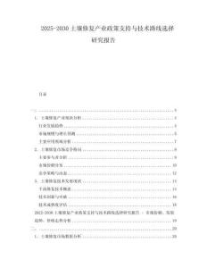 2025-2030土壤修復(fù)產(chǎn)業(yè)政策支持與技術(shù)路線選擇研究報告