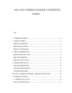 2025-2030中國儲能技術發展趨勢與市場投資機會分析報告