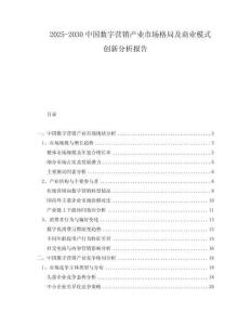 2025-2030中國數字營銷產業市場格局及商業模式創新分析報告