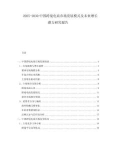 2025-2030中國跨境電商市場發展模式及未來增長潛力研究報告