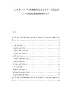 2025至2030中國硅酸鹽陶瓷行業市場行業發展研究與產業戰略規劃分析評估報告