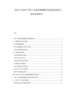 2025至2030中國工業(yè)級(jí)焦磷酸鈉市場深度調(diào)查與發(fā)展趨勢(shì)報(bào)告
