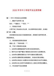 2025年市中小學校平安應急預案
