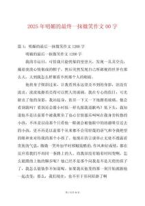 2025年明媚的最終一抹微笑作文00字