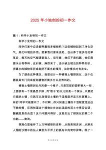 2025年小獨(dú)創(chuàng)的初一作文