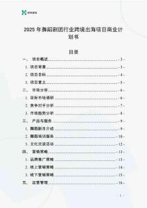 2025年舞蹈劇團行業跨境出海項目商業計劃書