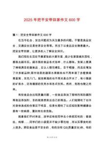 2025年把平安帶回家作文600字