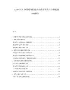 2025-2030中國網絡信息安全威脅演變與防御投資方向報告