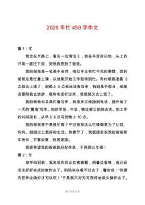 2025年忙450字作文