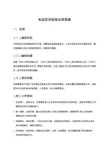 電站防洪搶險應急預案