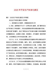 2025年平安生產標準化建設