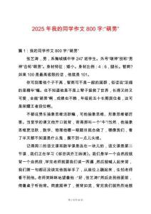 2025年我的同學(xué)作文800字-“萌男”