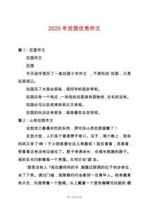 2025年拉面優(yōu)秀作文