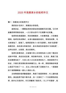 2025年我愛家鄉(xiāng)的枇杷作文