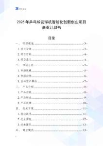 2025年乒乓球發(fā)球機(jī)智能化創(chuàng)新創(chuàng)業(yè)項(xiàng)目商業(yè)計(jì)劃書