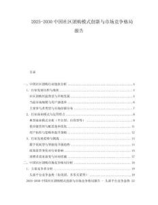 2025-2030中國社區團購模式創新與市場競爭格局報告