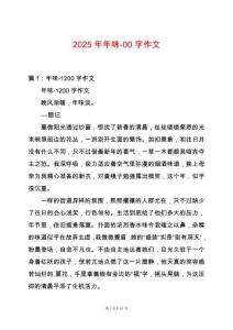 2025年年味-00字作文