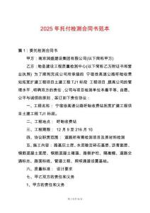 2025年托付檢測合同書范本