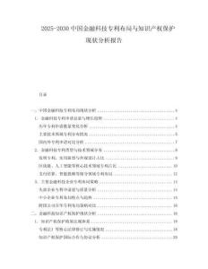 2025-2030中國金融科技專利布局與知識產權保護現狀分析報告