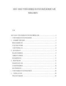 2025-2030中國區塊鏈技術應用市場發展現狀與投資機會報告