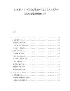 2025至2030中國毛化纖混紡衫行業發展研究與產業戰略規劃分析評估報告
