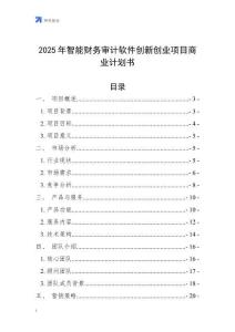 2025年智能財(cái)務(wù)審計(jì)軟件創(chuàng)新創(chuàng)業(yè)項(xiàng)目商業(yè)計(jì)劃書