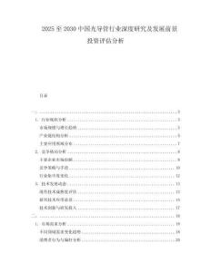 2025至2030中國(guó)光導(dǎo)管行業(yè)深度研究及發(fā)展前景投資評(píng)估分析