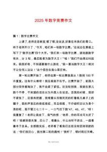 2025年數(shù)字競賽作文