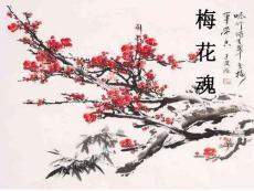 梅花魂