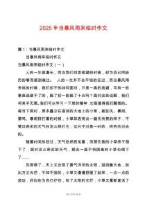 2025年當(dāng)暴風(fēng)雨來臨時作文