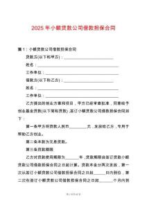 2025年小額貸款公司借款擔(dān)保合同