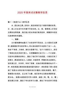2025年我來試試看教學(xué)反思